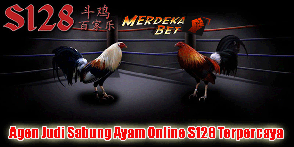 Agen Judi Sabung Ayam Online S128 Terpercaya